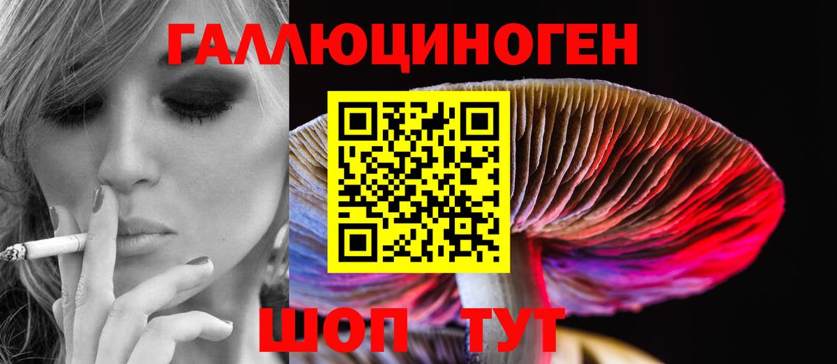 Галлюциногенные грибы Psilocybe Ржев